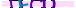 animated captcha