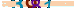 animated captcha
