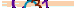 animated captcha