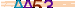 animated captcha