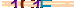 animated captcha