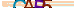 animated captcha